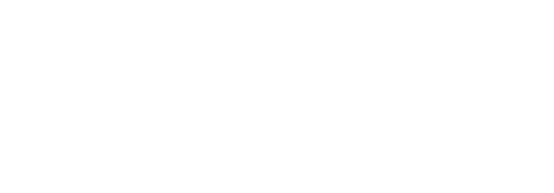 Logo Inicial